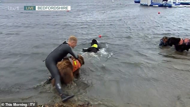 Dr. Scott Miller’s Eventful Dip in the Lake: Hilarious Moment on This Morning with Holly Willoughby and Dermot O’Leary