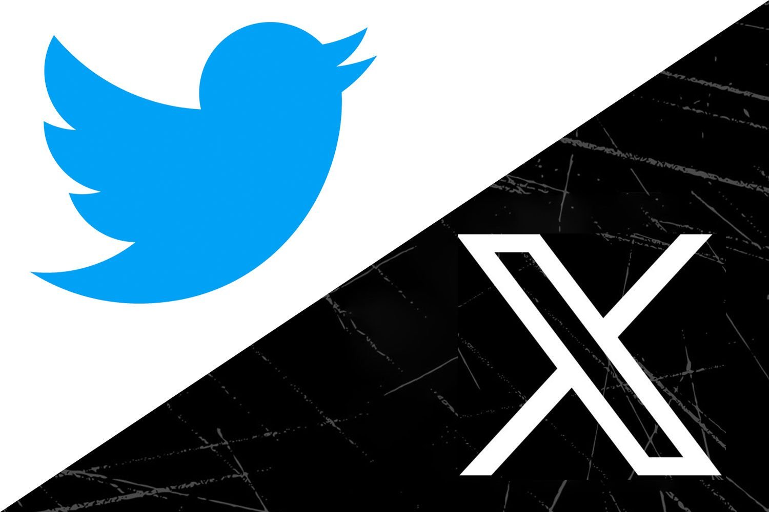 X (Formerly Twitter) Expands Data Collection in Privacy Policy Update: What You Need to Know