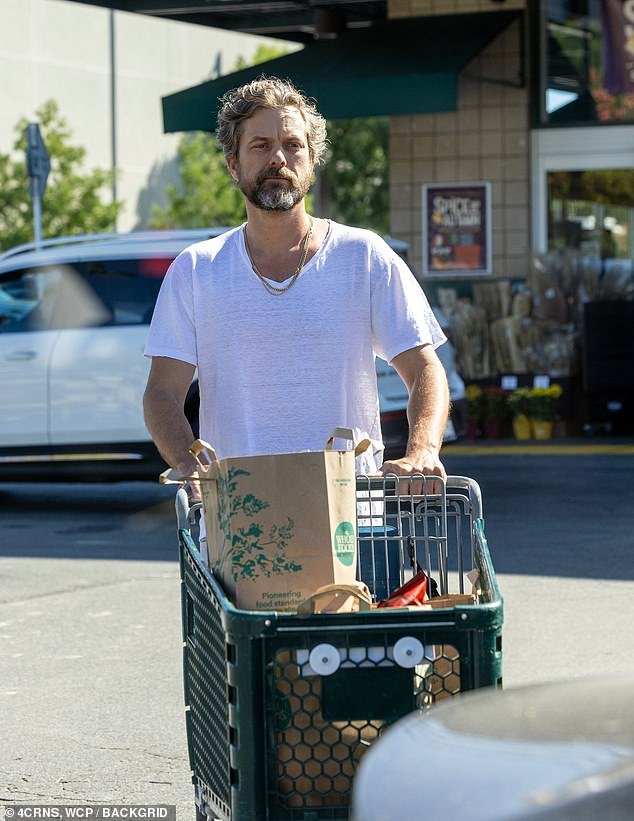 Joshua Jackson Spotted Grocery Shopping at Gelson’s Following Estranged Wife Jodie Turner-Smith’s Divorce Filing