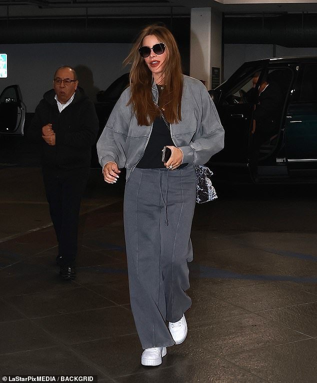 78761815 12844457 Sofia Vergara looked fantastic as she stepped out in Los Angeles a 31 1702106983991