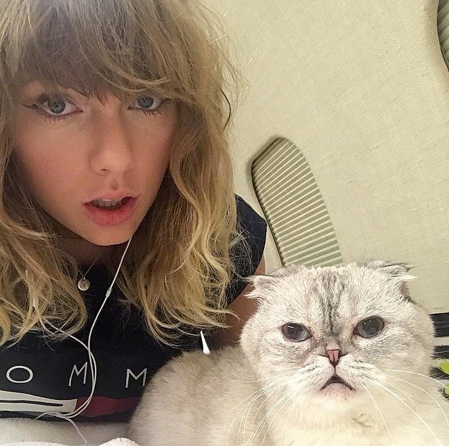 Director Matthew Vaughn reveals Taylor Swift’s involvement in CATS-inspired movie Argylle, dismissing rumors of the pop star writing a spy novel that inspired the film.