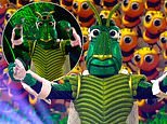 Fans of The Masked Singer are certain that Cricket is a well-known popstar from the 2000s.