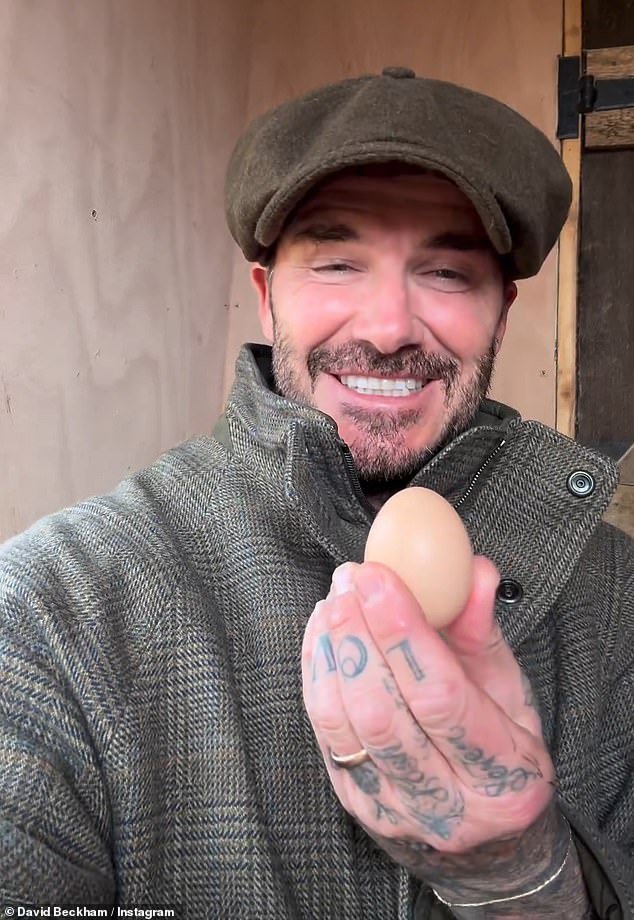 David Beckham Excitedly Collects His First Egg from His £6m Cotswolds Farmhouse Flock of Chickens