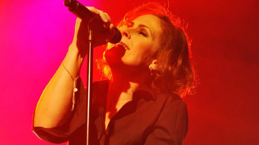 80s Pop Star Destroys Gold Discs and Fame Diaries