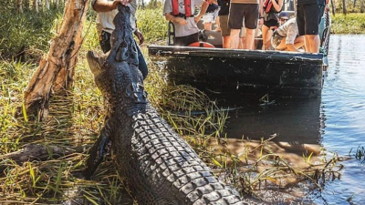 Netflix Star Matt Wright JAILED for Covering Up Chopper Crash Death of Co-Presenter