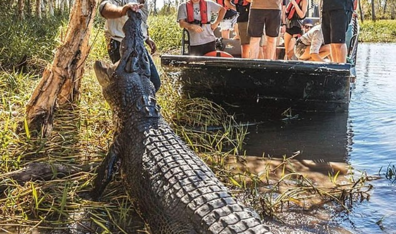 Netflix Star Matt Wright JAILED for Covering Up Chopper Crash Death of Co-Presenter